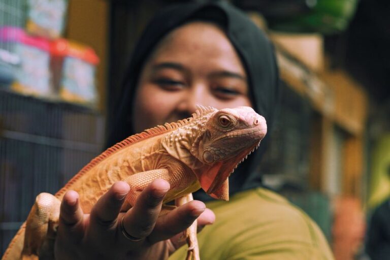 Exotic pet insurance cost – Ultimate Guide 2026