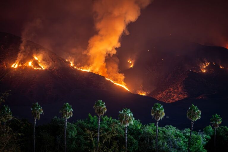 Insurance Companies Are Fleeing California — Here’s the Shocking Truth and What It Means for You