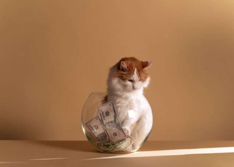 Pet insurance vs pet savings account which wins – Ultimate Guide 2026