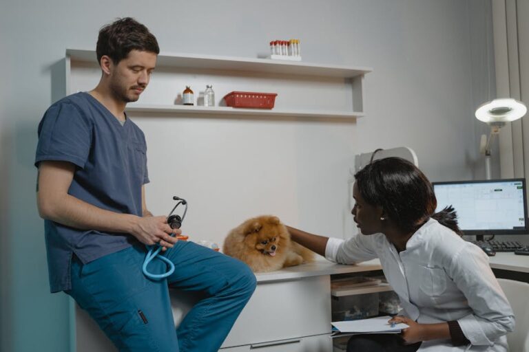 Pet insurance claim rejection reasons exposed – Ultimate Guide 2026