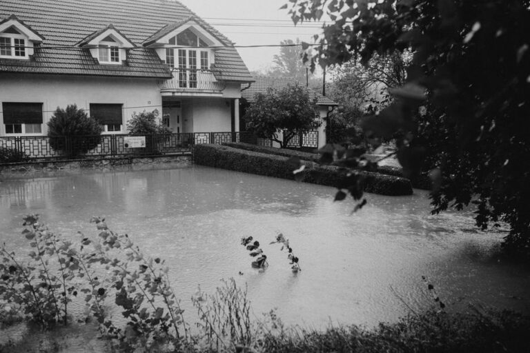 Water backup coverage most homeowners don’t have – Ultimate Guide 2026